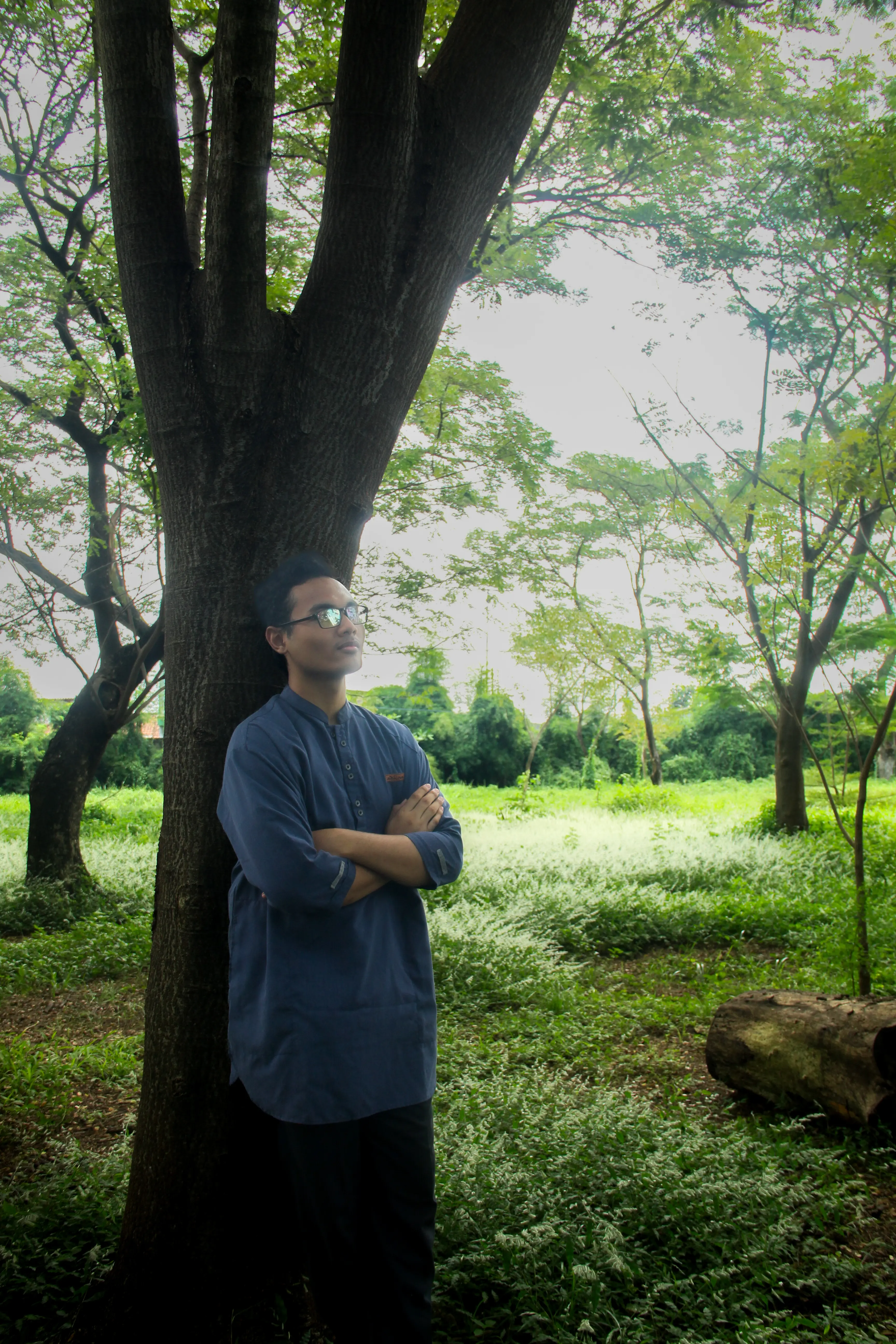 Setiawan